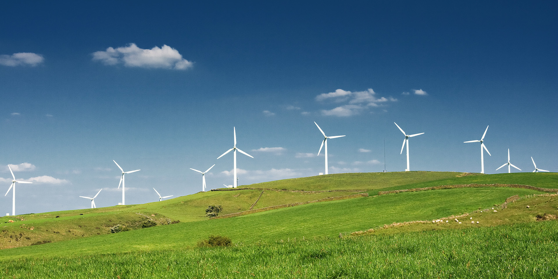 The Weather Industry And Its Importance